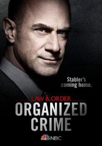Сериал Закон и порядок: Организованная преступность 2 сезон 12 серия